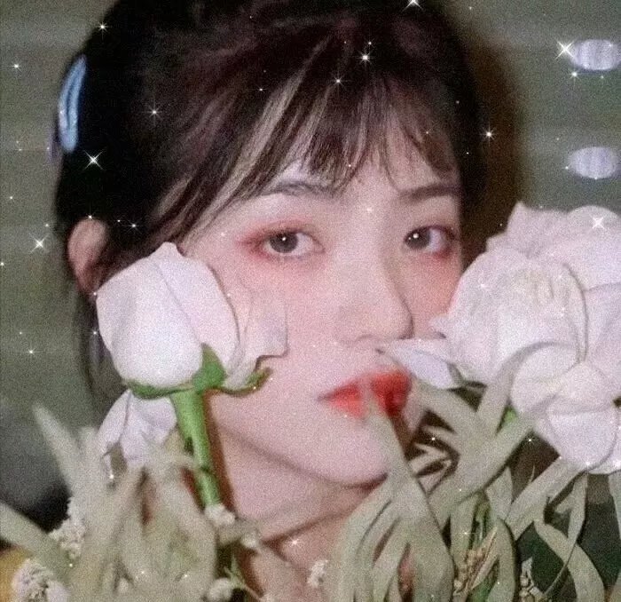 孔雀王子